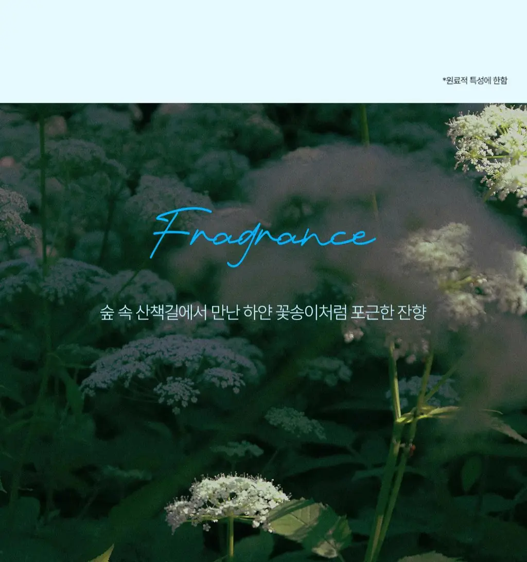[보습/저자극/진정] 펨프레쉬 여성청결제 250ml 2종 택1(수딩워시,액티브워시) 상세페이지 37